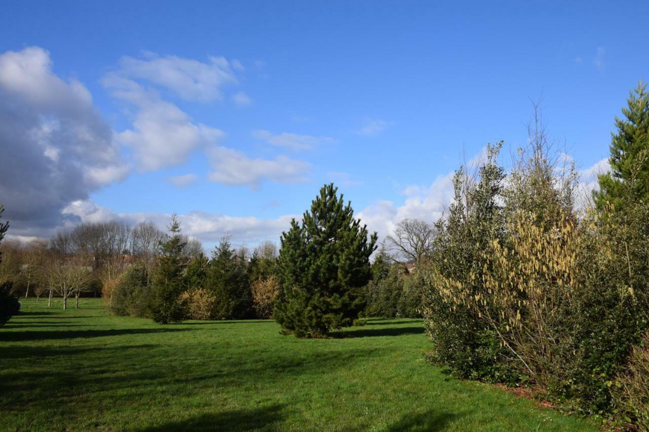 Appartement Avec Rez De Jardin A Disneyland Montévrain Exterior foto